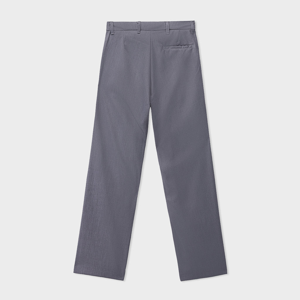 Tailored Pleated Pants
