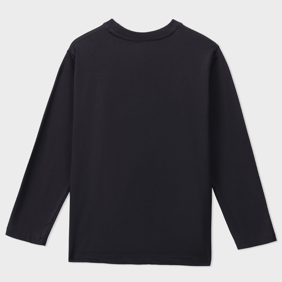 Lycra Long Sleeves Regular Tee