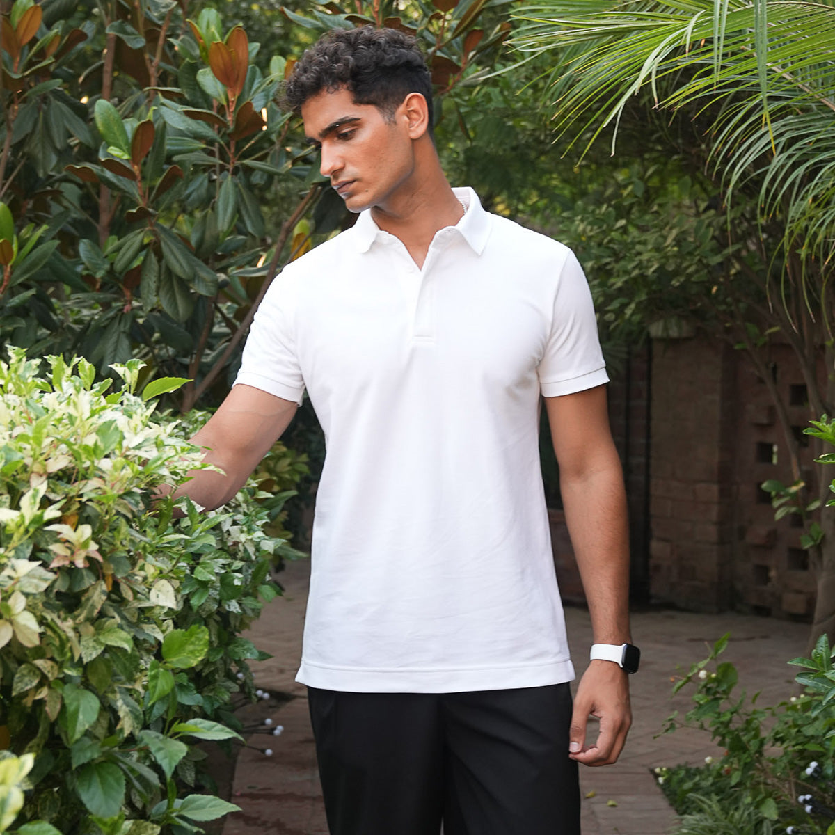 Supima Regular Fit Polo