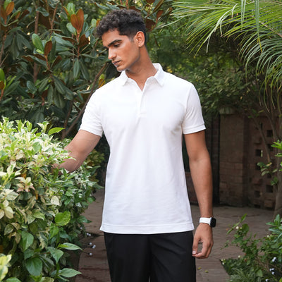 Supima Regular Fit Polo