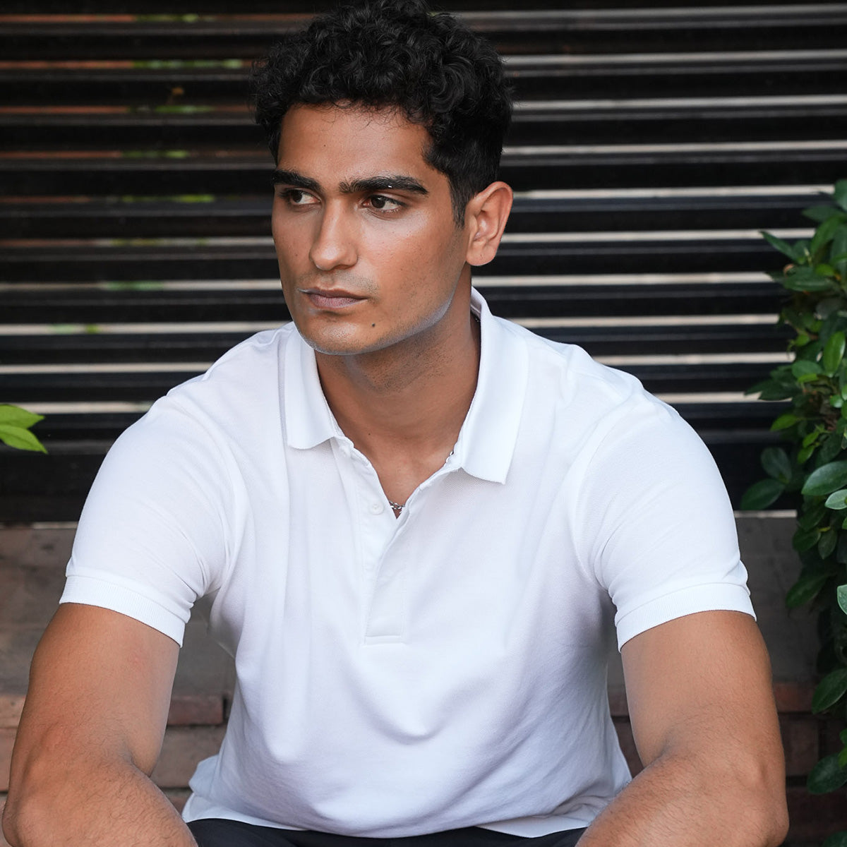 Supima Regular Fit Polo